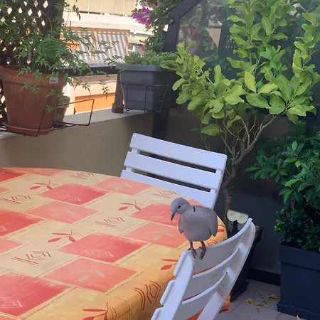 Relax Au Soleil - Avec Grande Terrasse - Proche De La 100 M Et Du Centre Apartment Menton